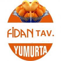 fidan tav. yumurta