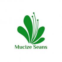 mucize seans