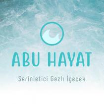 abu hayat serinletici gazlı içecek