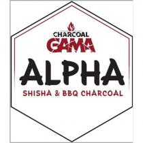 charcoal gama alpha shısha & bbq charcoal
