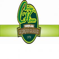 cevriye hanım turşuları geçmişten geleceğe 1978