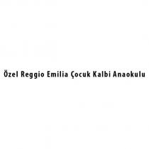 özel reggio emilia çocuk kalbi anaokulu
