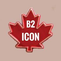 b2 icon