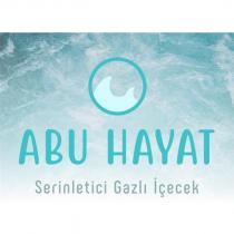 abu hayat serinletici gazlı içecek