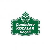 çamlıdere kozalak reçeli