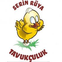 serin rüya tavukçuluk