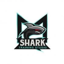 shark training studio