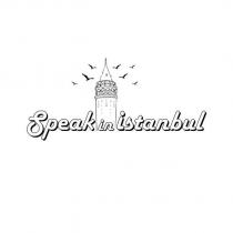 speak in istanbul