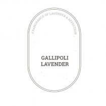 frangrance of lavender & affection gallipoli lavender