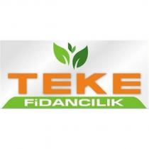 teke fidancılık