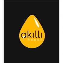 akıllı kapak