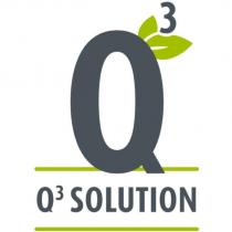 q3 solution