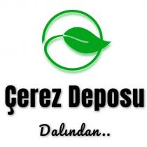 çerez deposu dalından