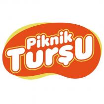 piknik turşu