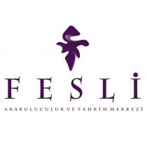 fesli arabuluculuk ve tahkim merkezi