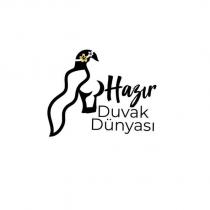 hazır duvak dünyası