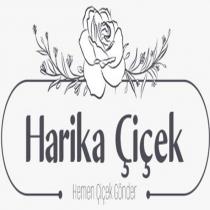 harika cicek hemen çiçek gönder