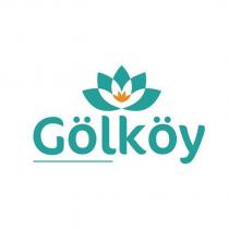 gölköy