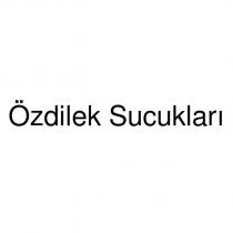 özdilek sucukları