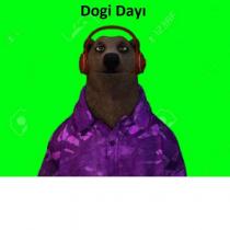 dogi dayı