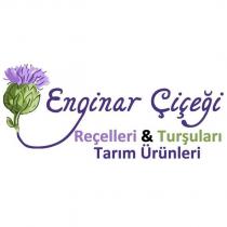 enginar çiçeği reçelleri & turşuları tarım ürünleri
