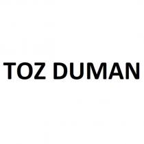 toz duman