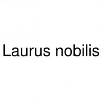 laurus nobilis