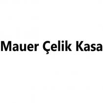 mauer çelik kasa