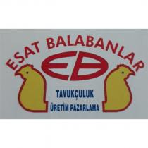esat balabanlar eb tavukçuluk üretim pazarlama