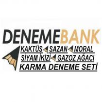 denemebank kaktüs & sazan & moral & siyam ikizi & gazoz ağacı karma deneme seti