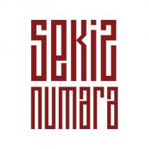 sekiz numara
