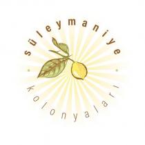 süleymaniye kolonyaları