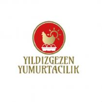 yıldızgezen yumurtacılık
