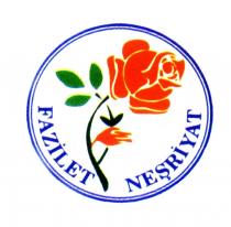 fazilet neşriyat