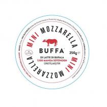 buffa mini mozzarella buffa di latte di bufala %100 manda sütünden üretilmiştir 250 g e
