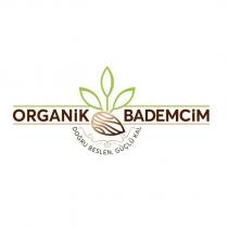organik bademcim doğru beslen, güçlü kal