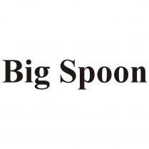big spoon