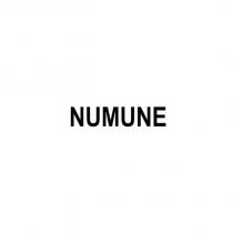 numune