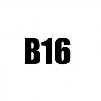 b16