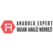 anadolu expert hasar analiz merkezi