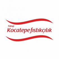 yakup kocatepe fıstıkçılık