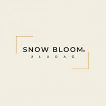 snow bloom uludağ