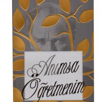 anımsa öğretmenim