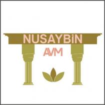 nusaybin avm
