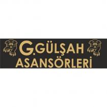 g.gülşah asansörleri