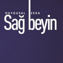 duygusal zeka sağ beyin