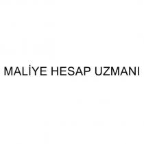 maliye hesap uzmanı