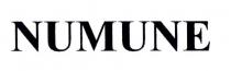 numune