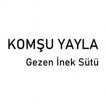 komşu yayla gezen inek sütü
