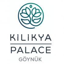 kilikya palace göynük